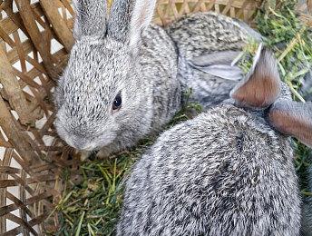 建造生存游戏 《多重人生》免费试玩版即将推出